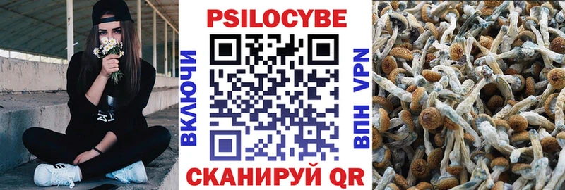Галлюциногенные грибы Psilocybe  Урень 